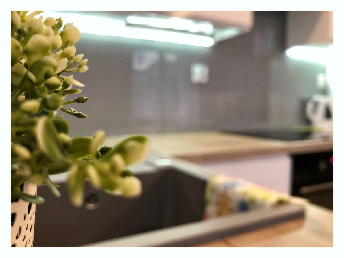 Przy Ratuszu Apartment *